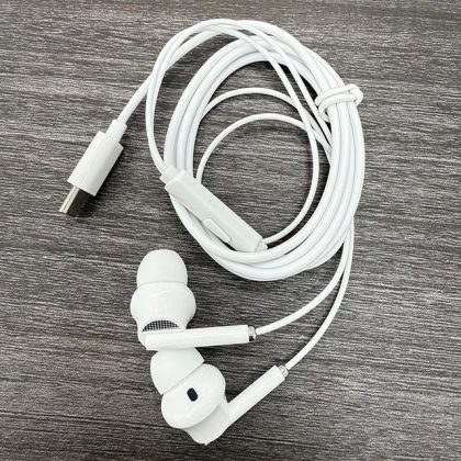 Mobile Checklist USB-C Wired Earbuds V290